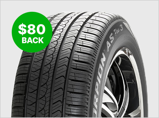 Scorpion All Season Plus 3