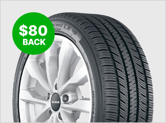 AVID Ascend LX AVID Ascend LX